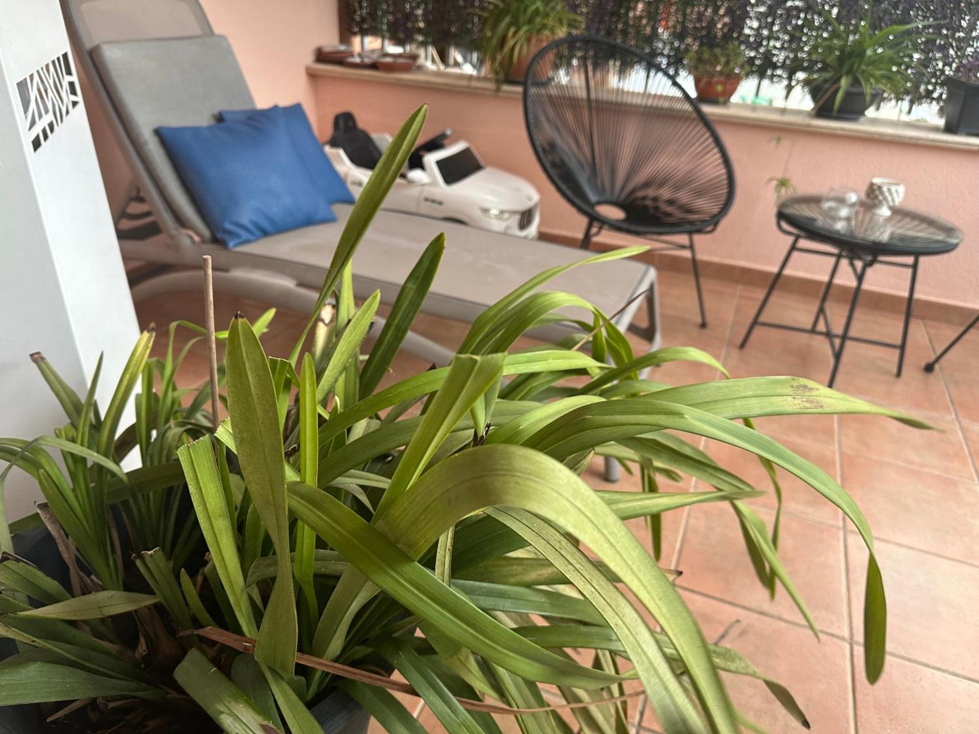 Ferienwohnung Flat With Jacuzzi - Casa Pia Mondello Exterior foto